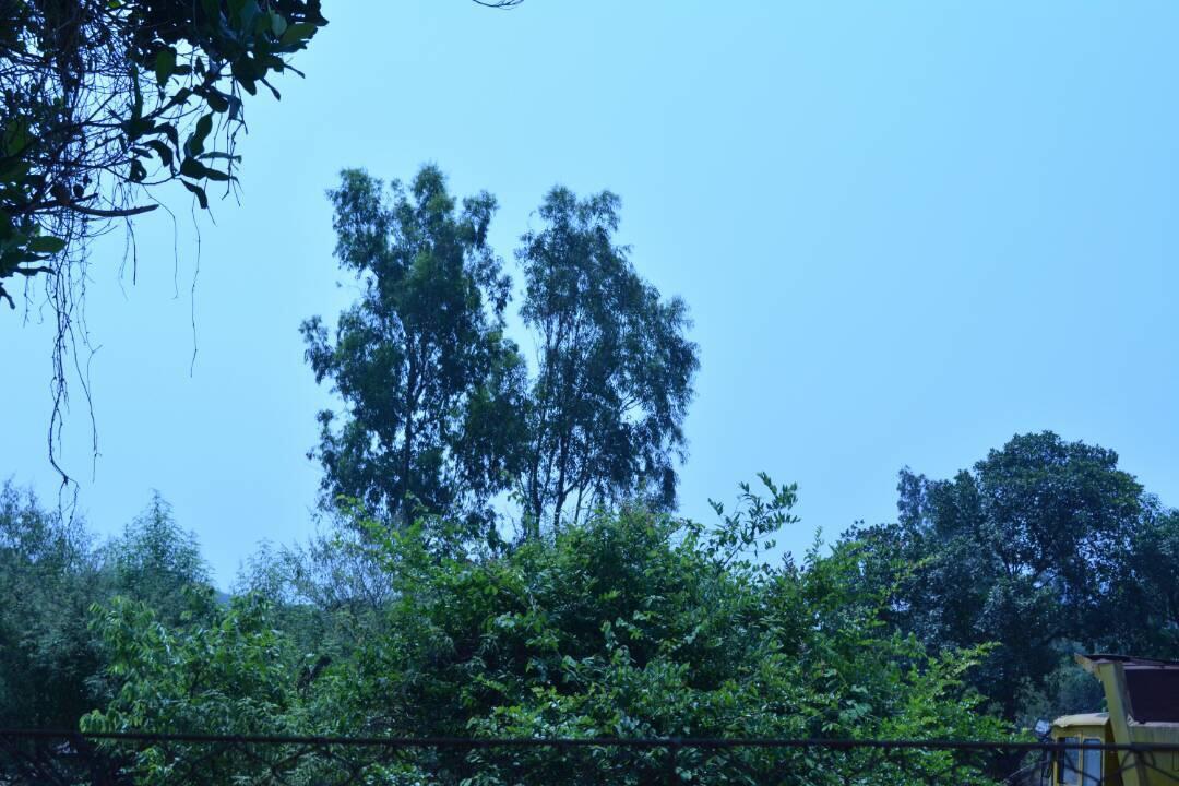 Mango Holiday Resort Kolhapur Zewnętrze zdjęcie