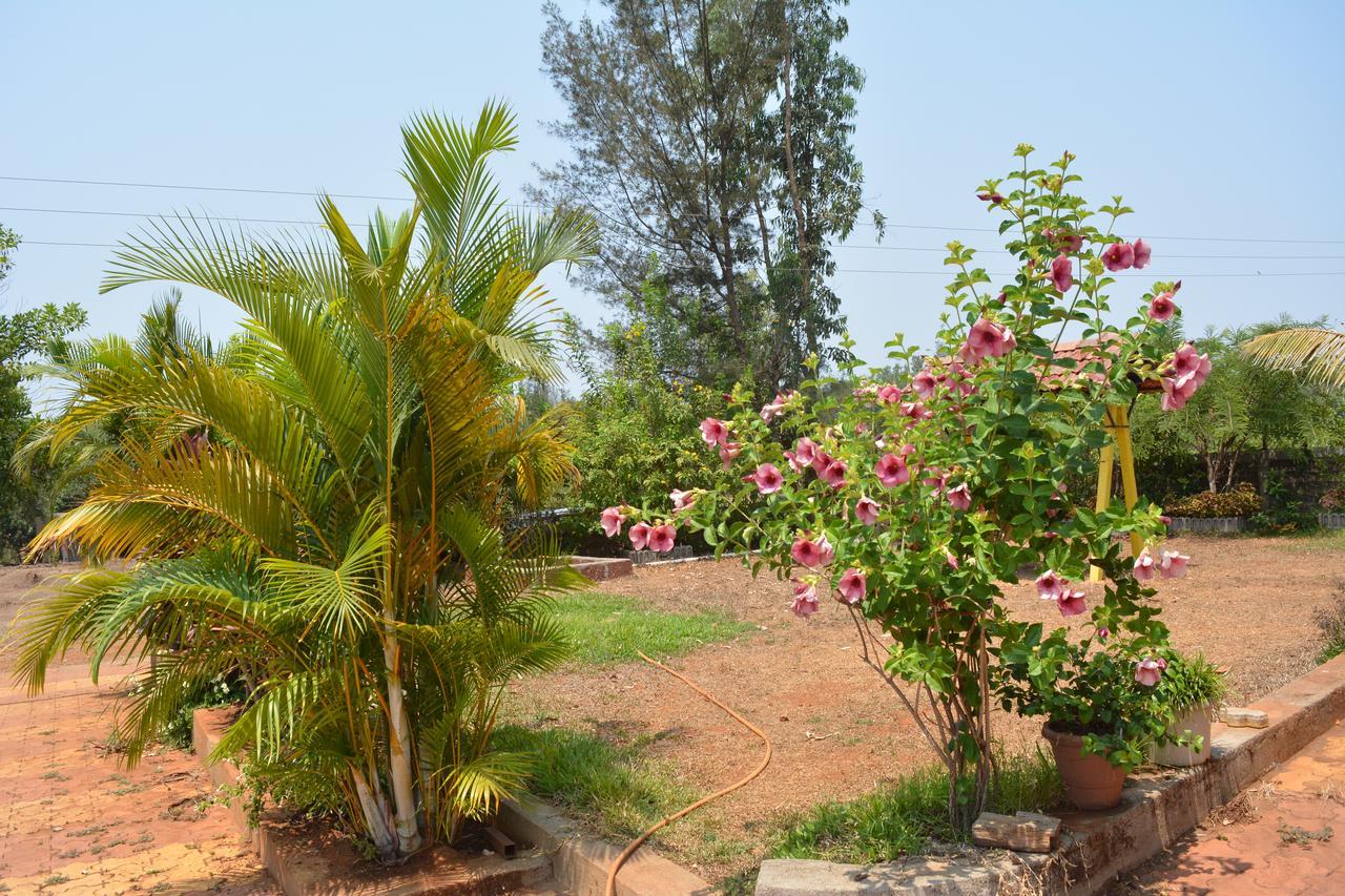 Mango Holiday Resort Kolhapur Zewnętrze zdjęcie