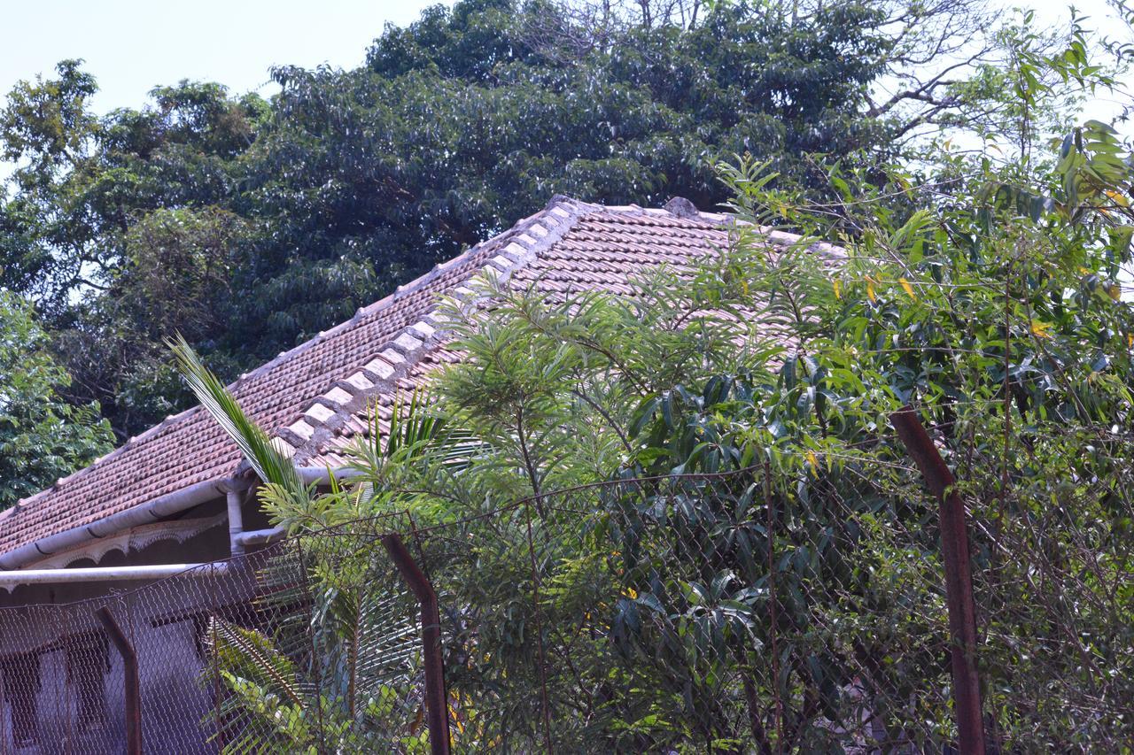 Mango Holiday Resort Kolhapur Zewnętrze zdjęcie